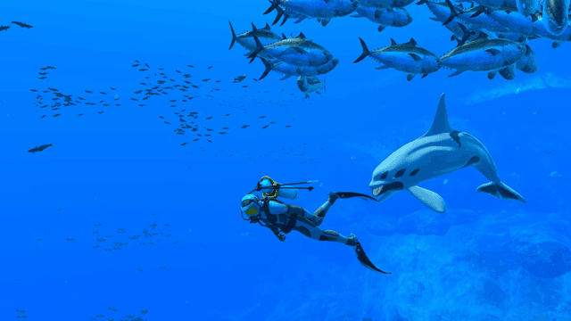 game-screenshot