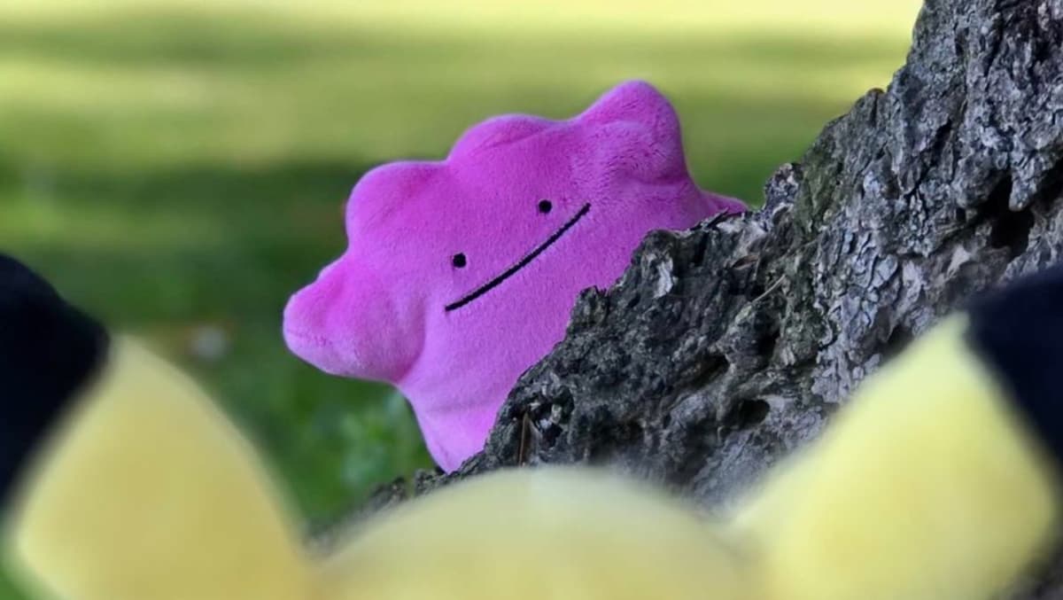 Pokémon Center tem pré-venda especial de cópia física de Pokémon Pokopia