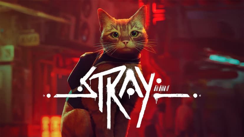 Stray no Switch 2: Upgrade Gratuito para Versão Digital